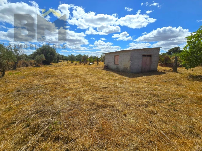 Terreno Agricola ou Rústico para Venda em Escalos de Cima e Lousa Foto 7