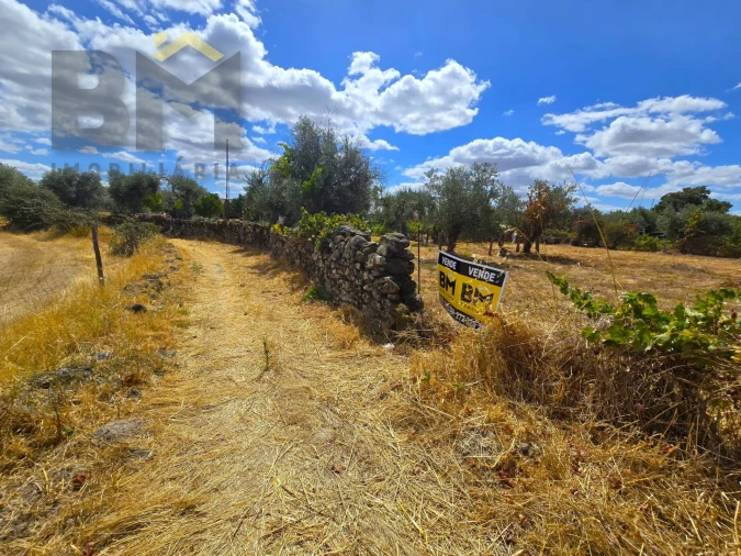 Terreno Agricola ou Rústico para Venda em Escalos de Cima e Lousa Foto 14