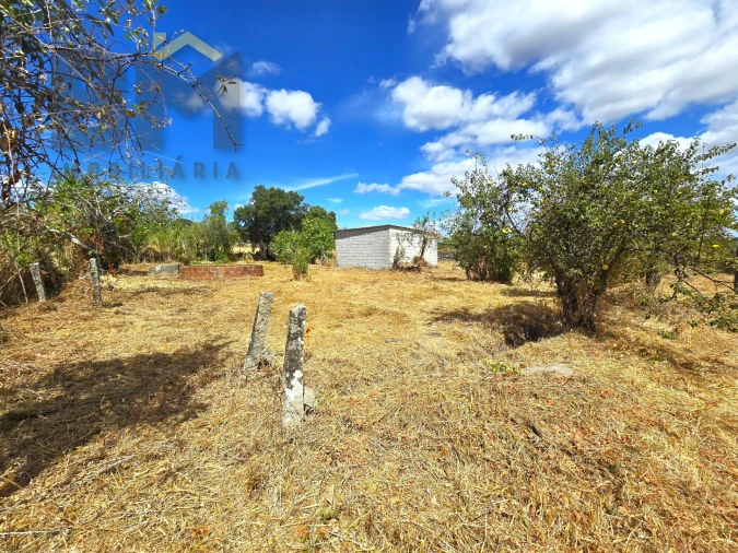 Terreno Agricola ou Rústico para Venda em Escalos de Cima e Lousa Foto 9