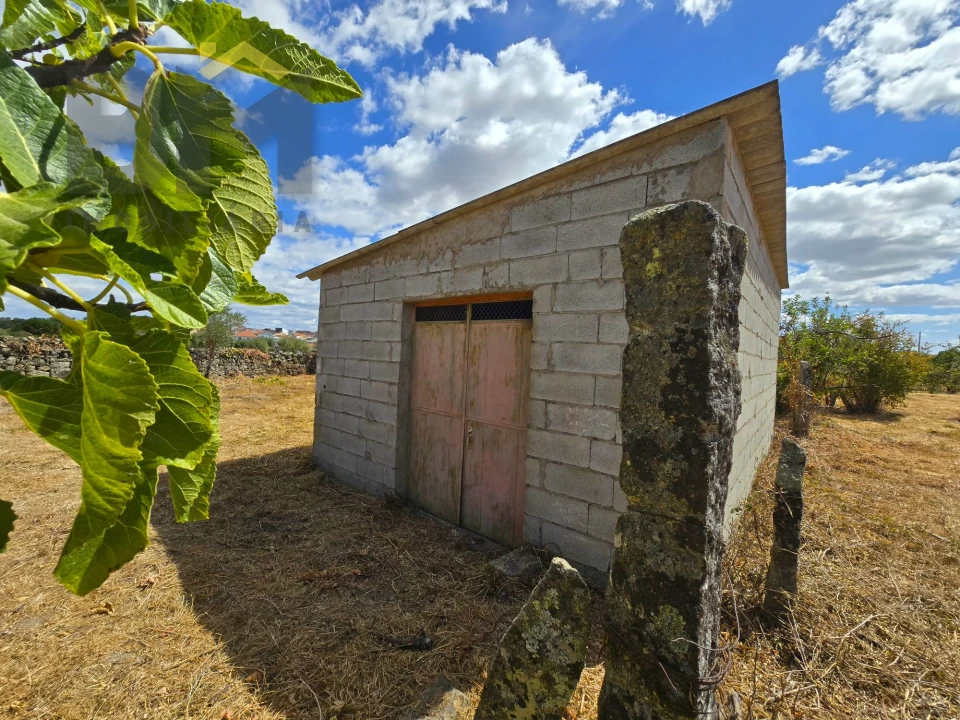 Terreno Agricola ou Rústico para Venda em Escalos de Cima e Lousa Foto 5