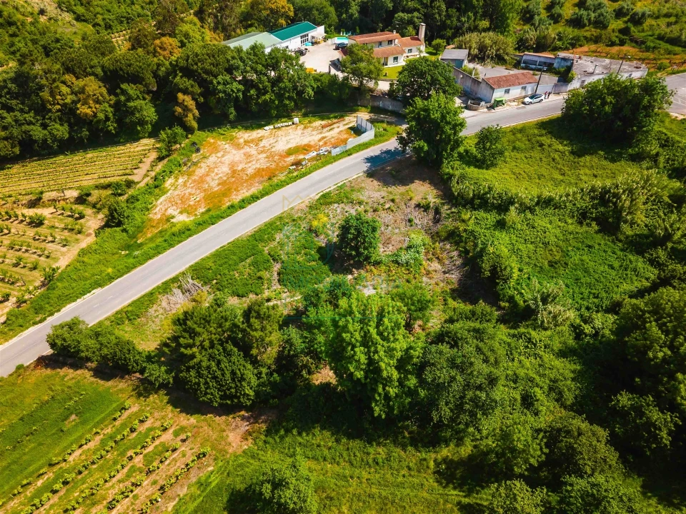 Terreno para Venda em Alvorninha Foto 8