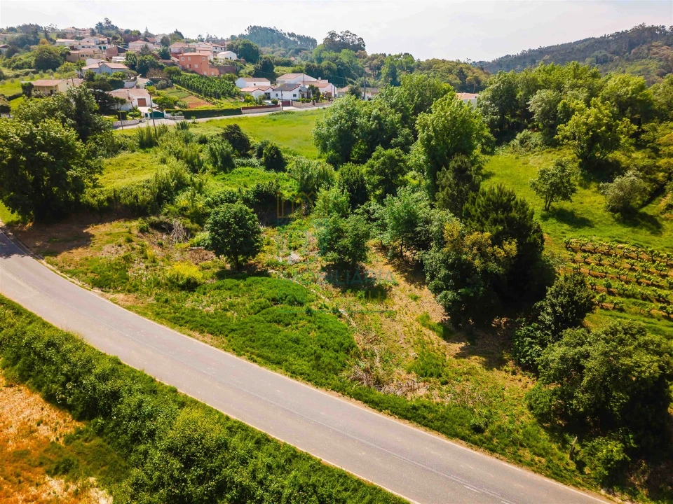 Terreno para Venda em Alvorninha Foto 5