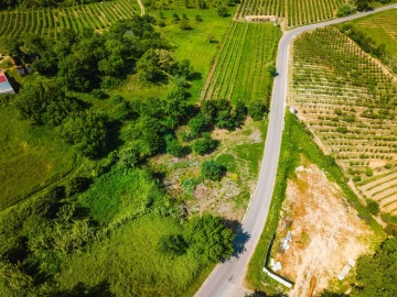 Terreno para Venda em Alvorninha