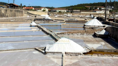 Terreno para Venda em Alvorninha