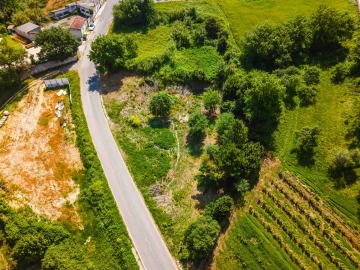 Terreno para Venda em Alvorninha