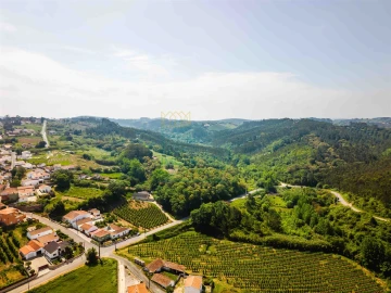 Terreno para Venda em Alvorninha