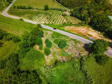 Terreno para Venda em Alvorninha
