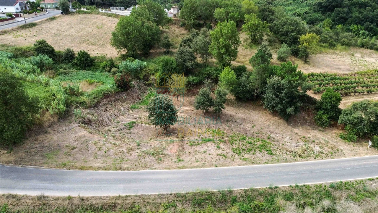 Terreno para Venda em Alvorninha Foto 6