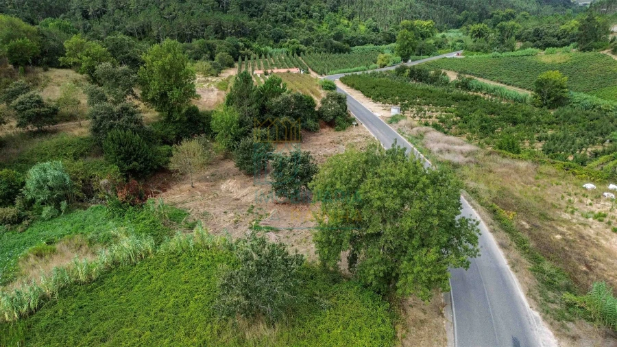 Terreno para Venda em Alvorninha Foto 11
