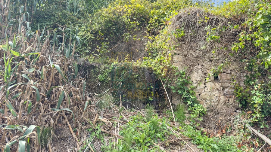 Terreno para Venda em Alvorninha Foto 4