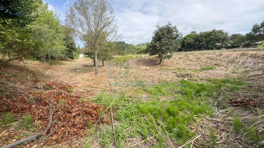 Terreno para Venda em Alvorninha Foto 1