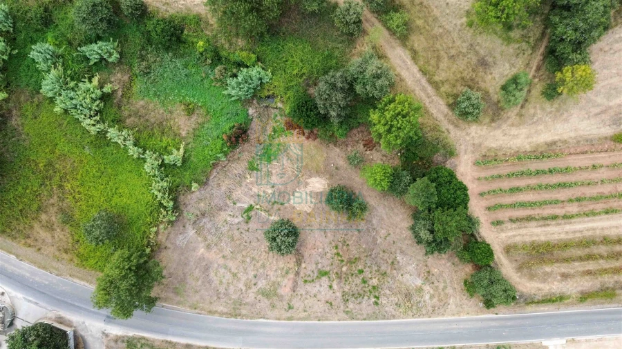 Terreno para Venda em Alvorninha Foto 3