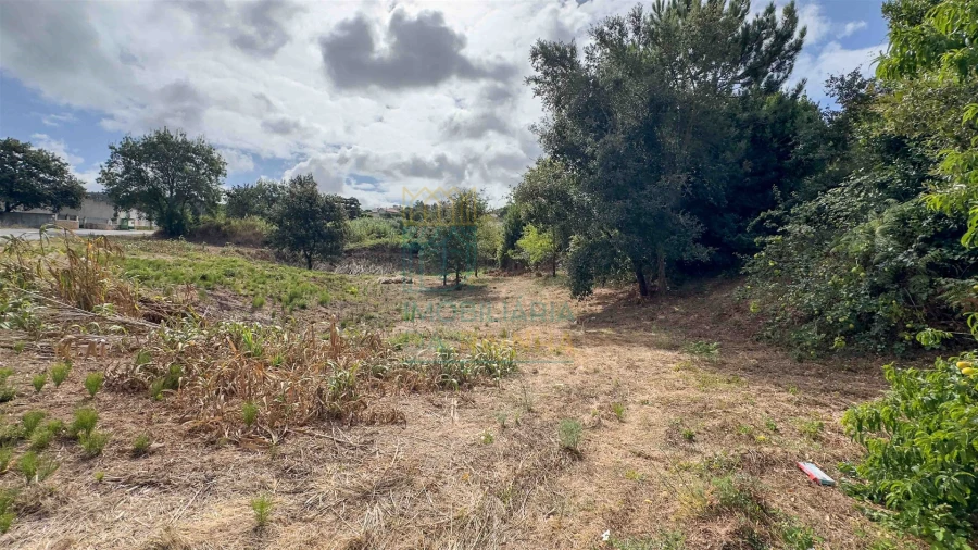 Terreno para Venda em Alvorninha Foto 5