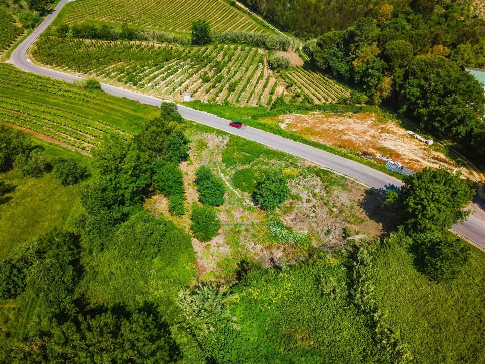 Terreno para Venda em Alvorninha Foto 7