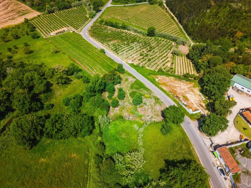 Terreno para Venda em Alvorninha Foto 6