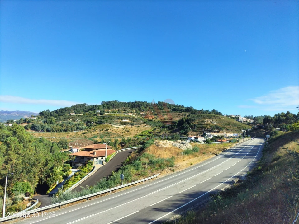 Terreno Agricola ou Rústico para Venda em São Martinho de Sardoura Foto 7