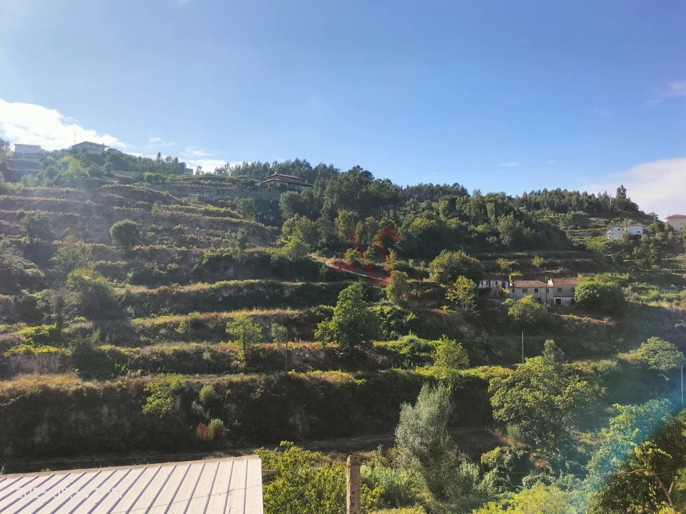 Terreno Agricola ou Rústico para Venda em São Martinho de Sardoura Foto 8
