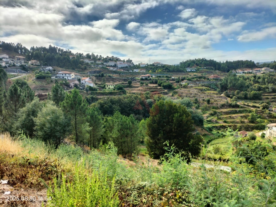 Terreno Agricola ou Rústico para Venda em São Martinho de Sardoura Foto 6