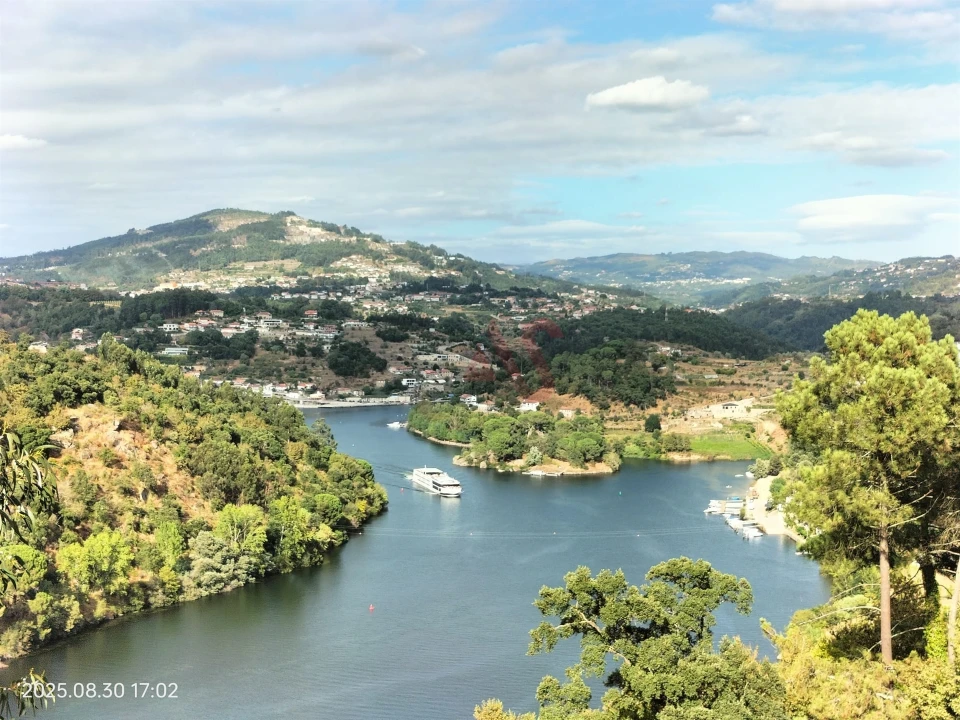 Terreno Agricola ou Rústico para Venda em São Martinho de Sardoura Foto 1