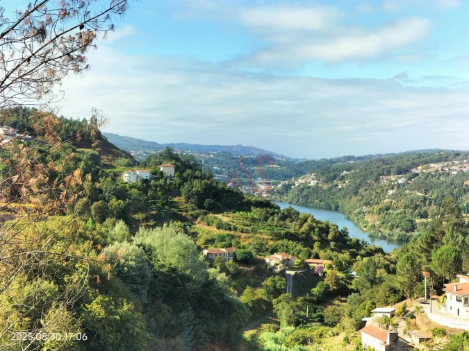 Terreno Agricola ou Rústico para Venda em São Martinho de Sardoura Foto 4