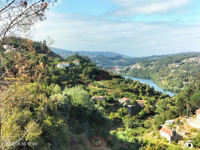 Terreno Agricola ou Rústico para Venda em São Martinho de Sardoura Foto 3