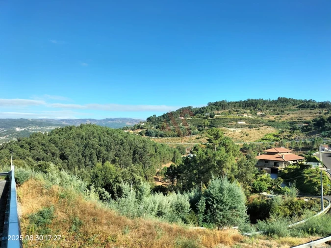 Terreno Agricola ou Rústico para Venda em São Martinho de Sardoura Foto 5