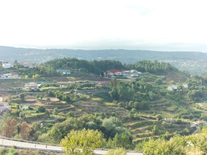 Terreno Agricola ou Rústico para Venda em São Martinho de Sardoura Foto 9