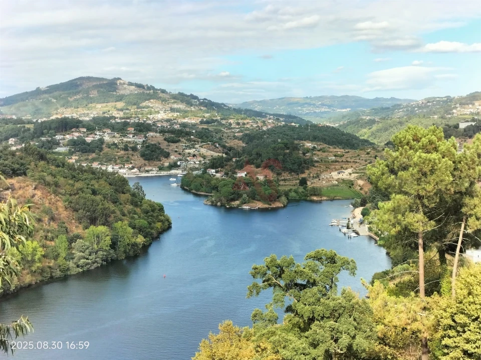Terreno Agricola ou Rústico para Venda em São Martinho de Sardoura Foto 2