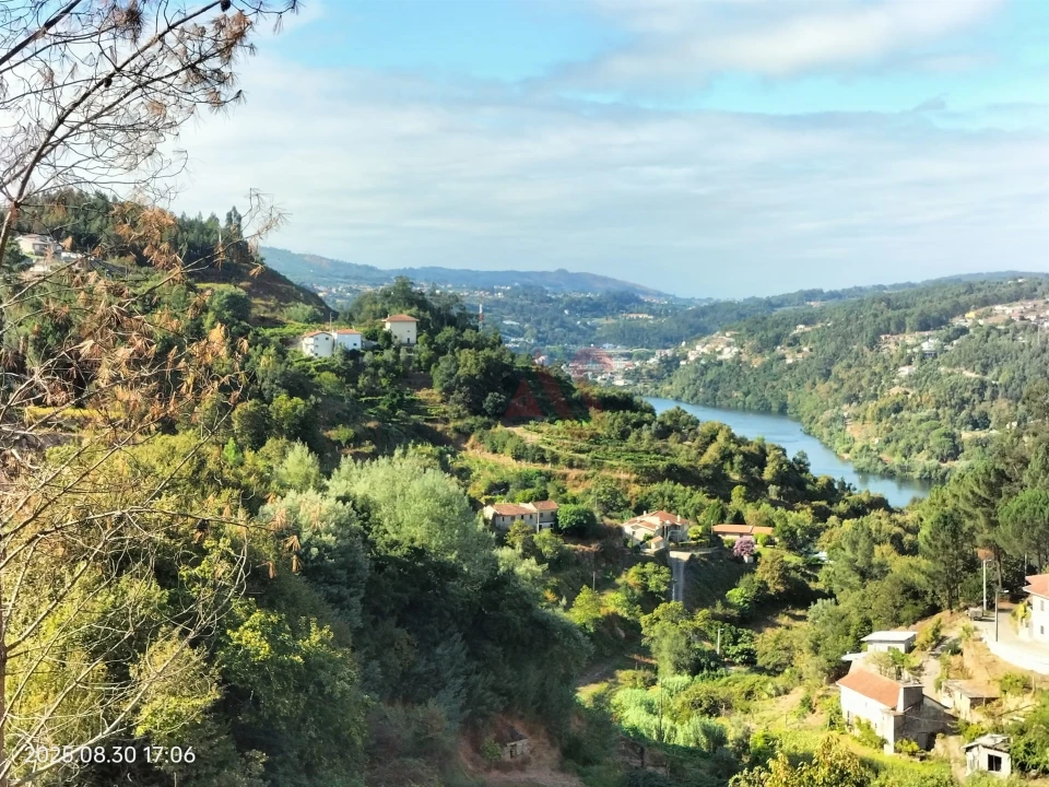Terreno Agricola ou Rústico para Venda em São Martinho de Sardoura Foto 3