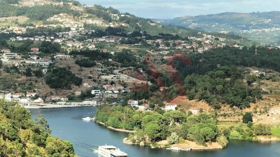 Terreno Agricola ou Rústico para Venda em São Martinho de Sardoura