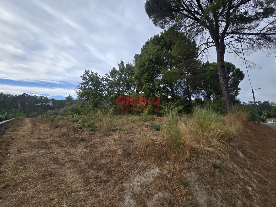 Terreno para Venda em Santos Evos Foto 3