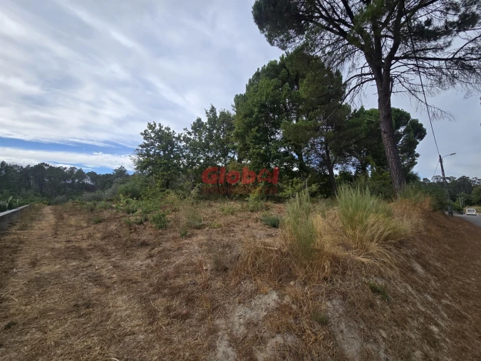 Terreno para Venda em Santos Evos Foto 3