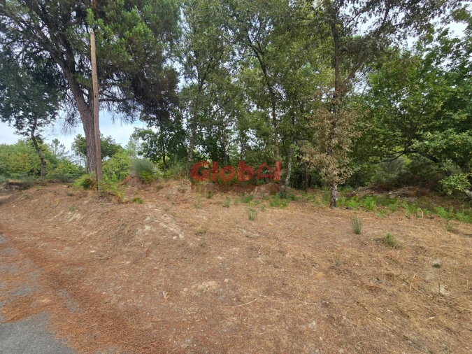 Terreno para Venda em Santos Evos Foto 3