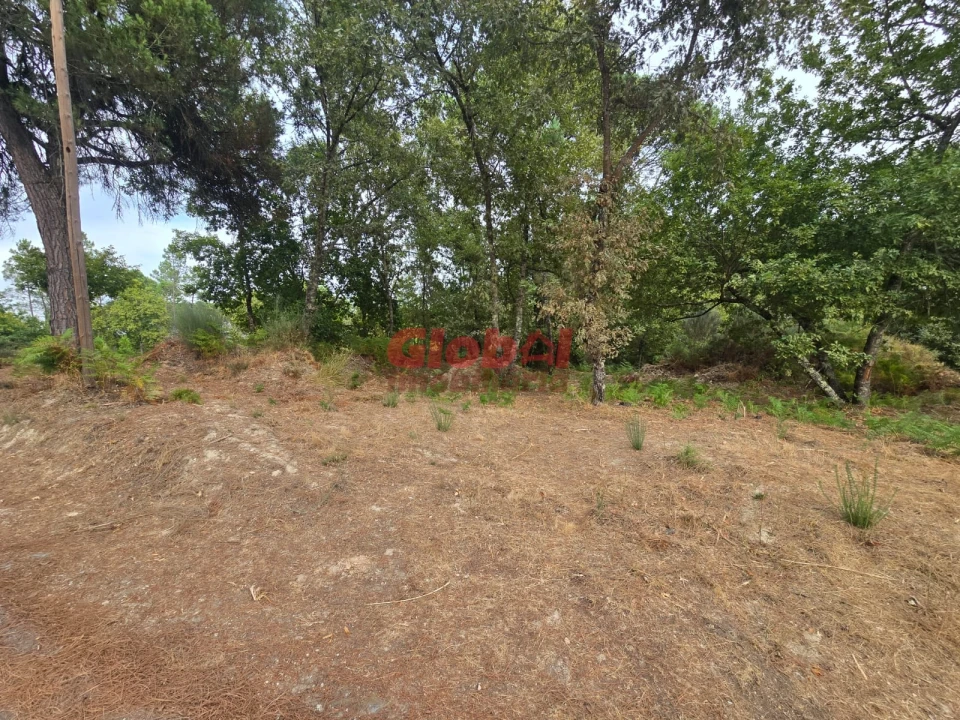 Terreno para Venda em Santos Evos Foto 1
