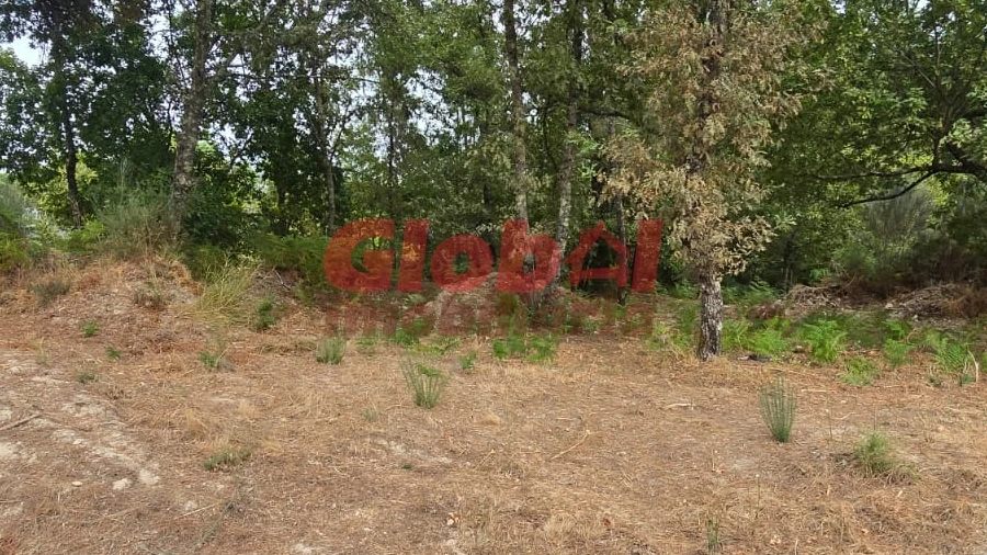 Terreno para Venda em Santos Evos