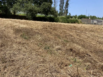 Terreno para Venda em Colmeias e Memória
