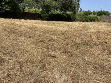 Terreno para Venda em Colmeias e Memória