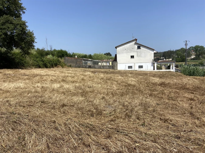 Terreno para Venda em Colmeias e Memória Foto 3