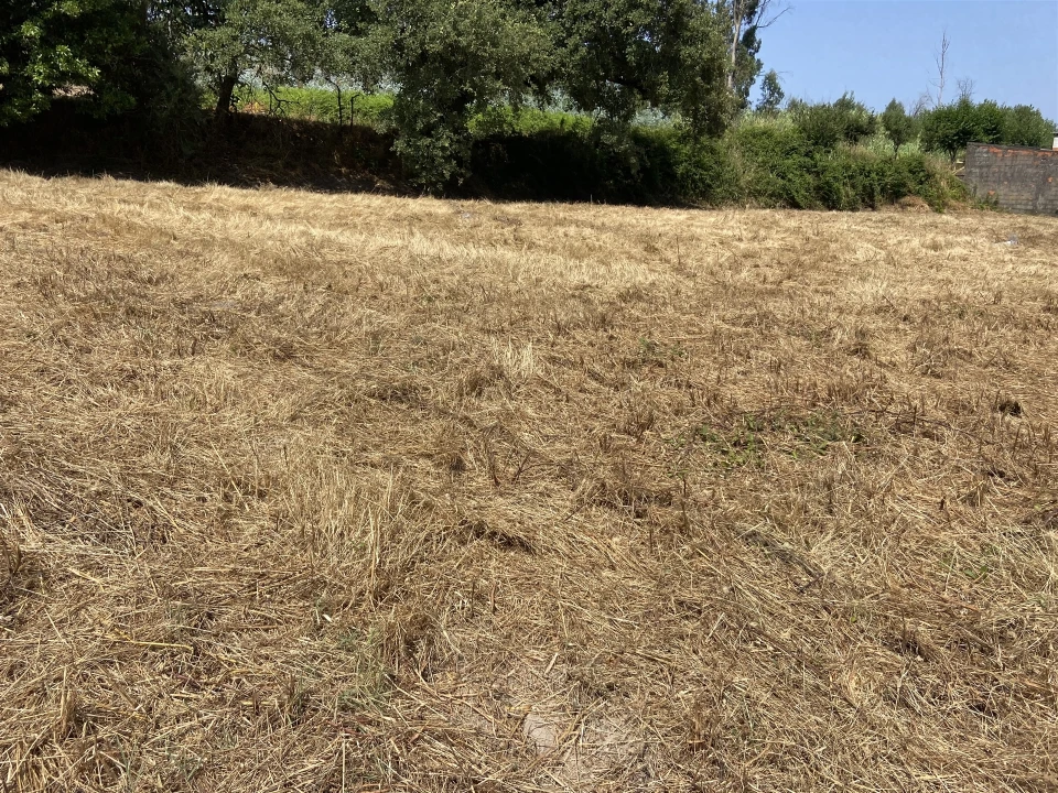 Terreno para Venda em Colmeias e Memória Foto 1