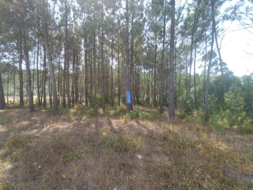 Terreno para Venda em Bidoeira de Cima