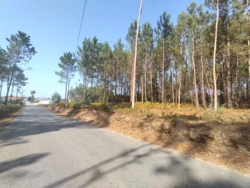 Terreno para Venda em Bidoeira de Cima