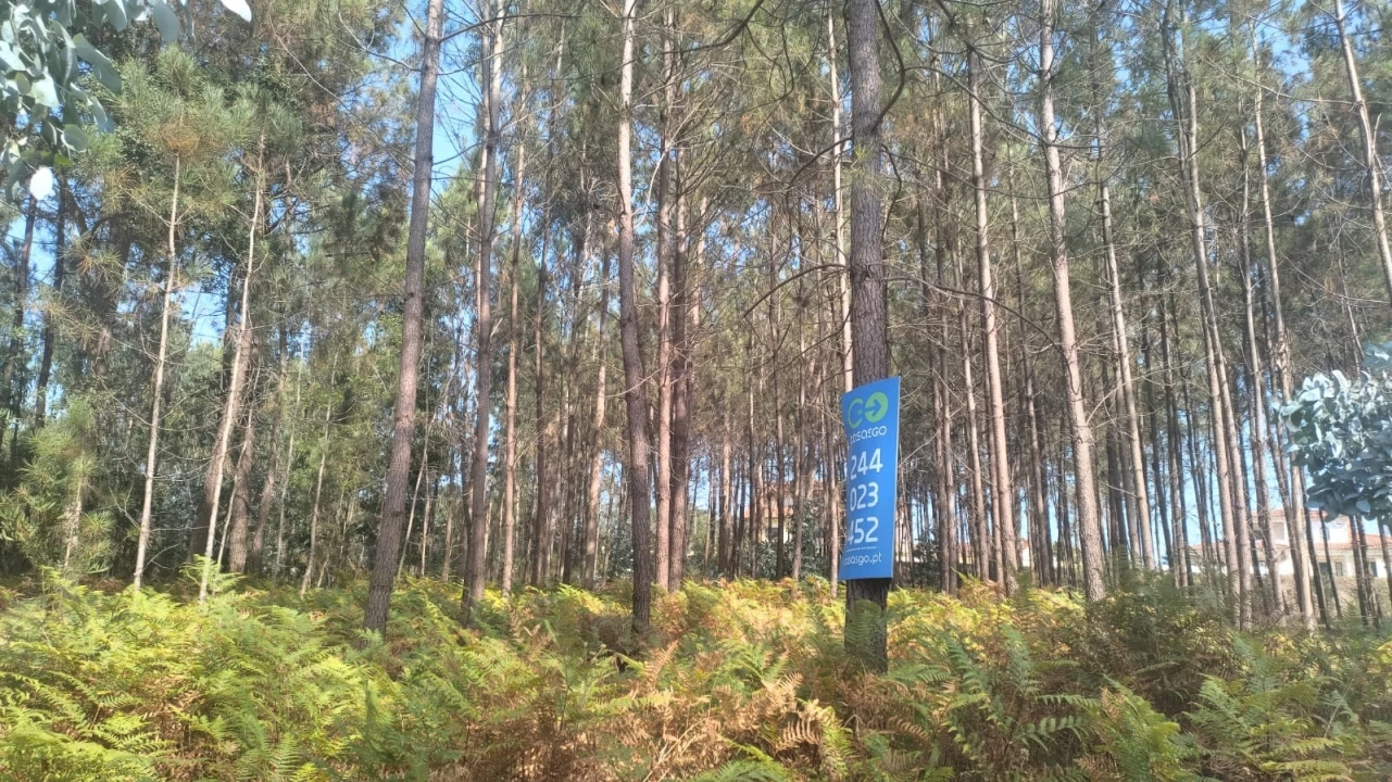 Terreno para Venda em Bidoeira de Cima Foto 1