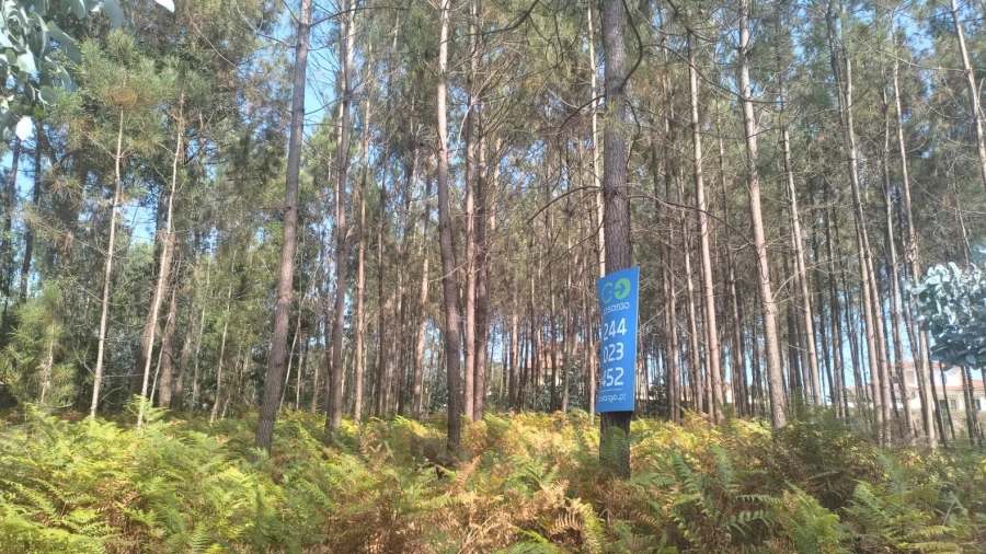 Terreno para Venda em Bidoeira de Cima