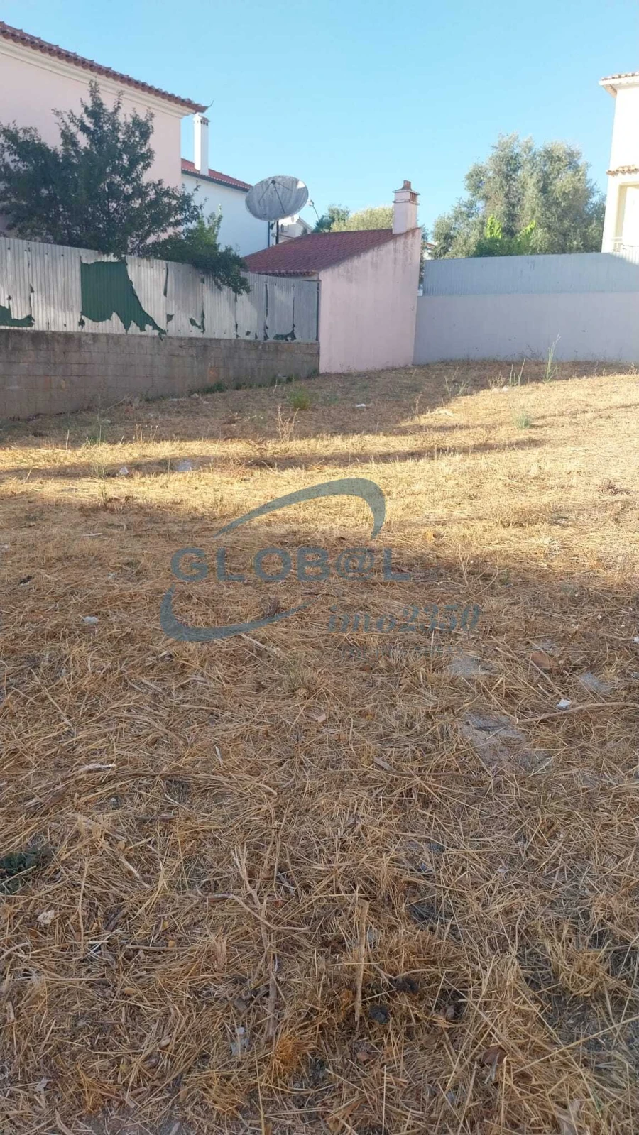 Terreno para Venda em Torres Novas (São Pedro), Lapas e Ribeira Branca Foto 2