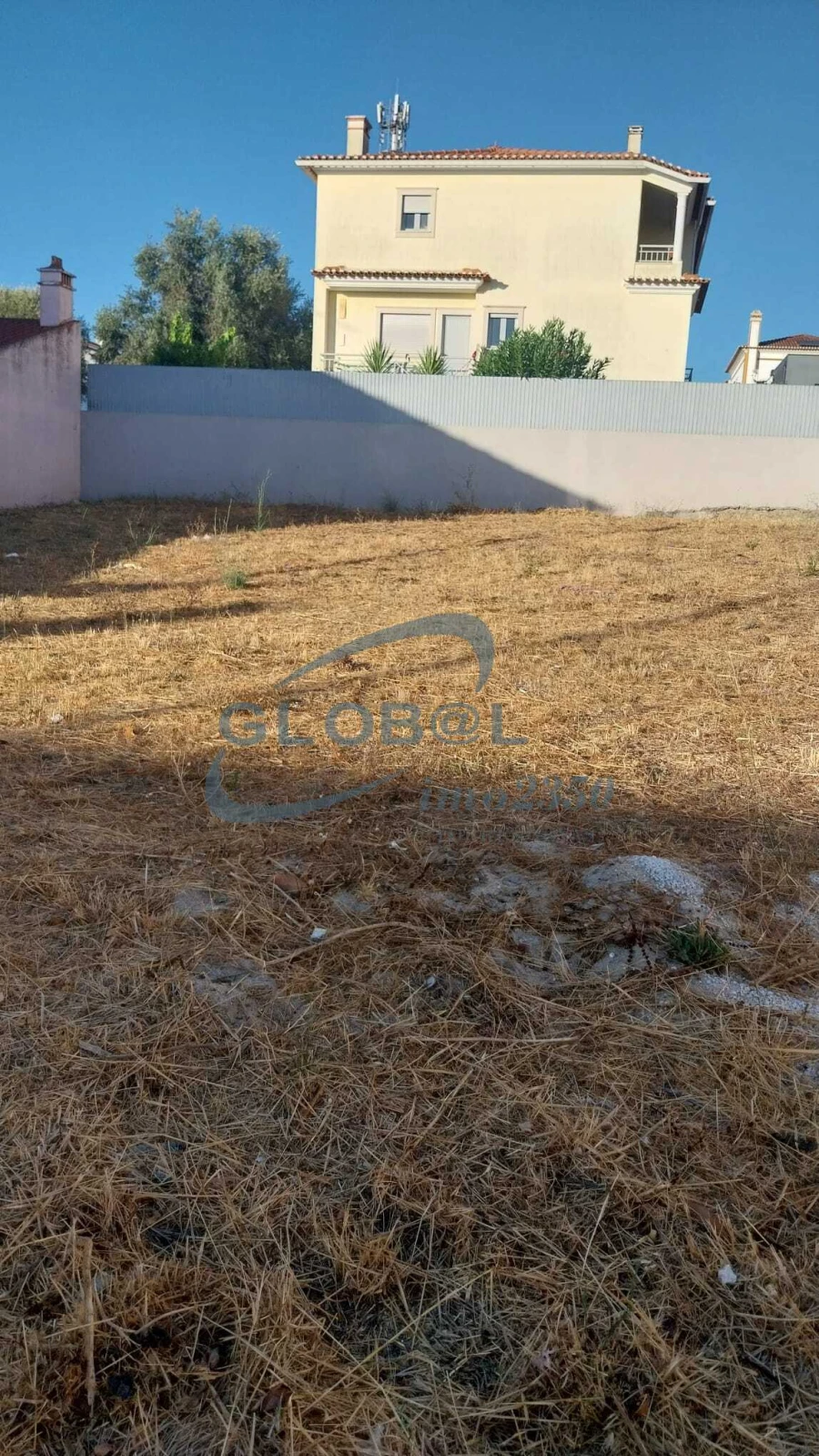 Terreno para Venda em Torres Novas (São Pedro), Lapas e Ribeira Branca Foto 5