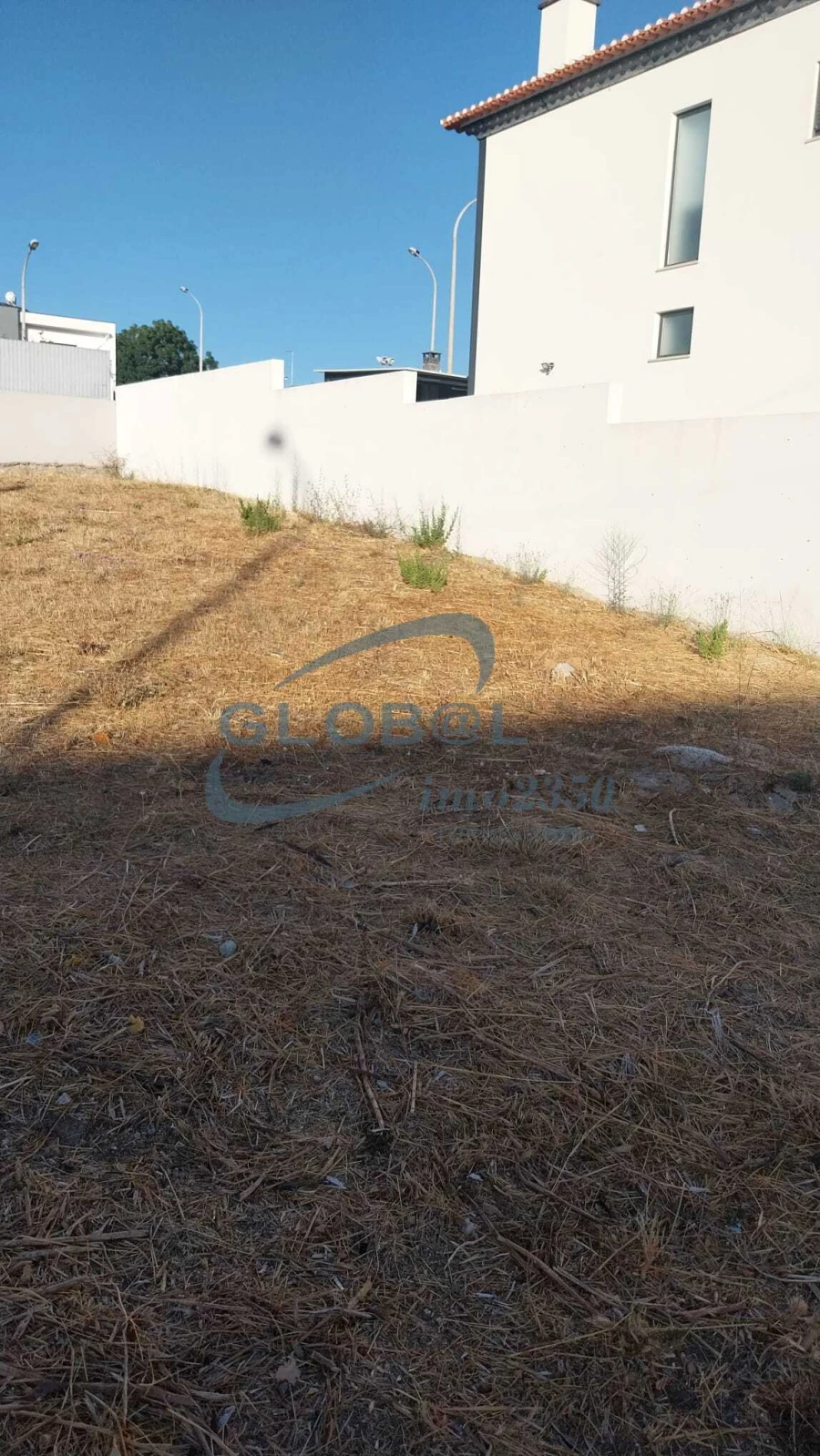 Terreno para Venda em Torres Novas (São Pedro), Lapas e Ribeira Branca Foto 4