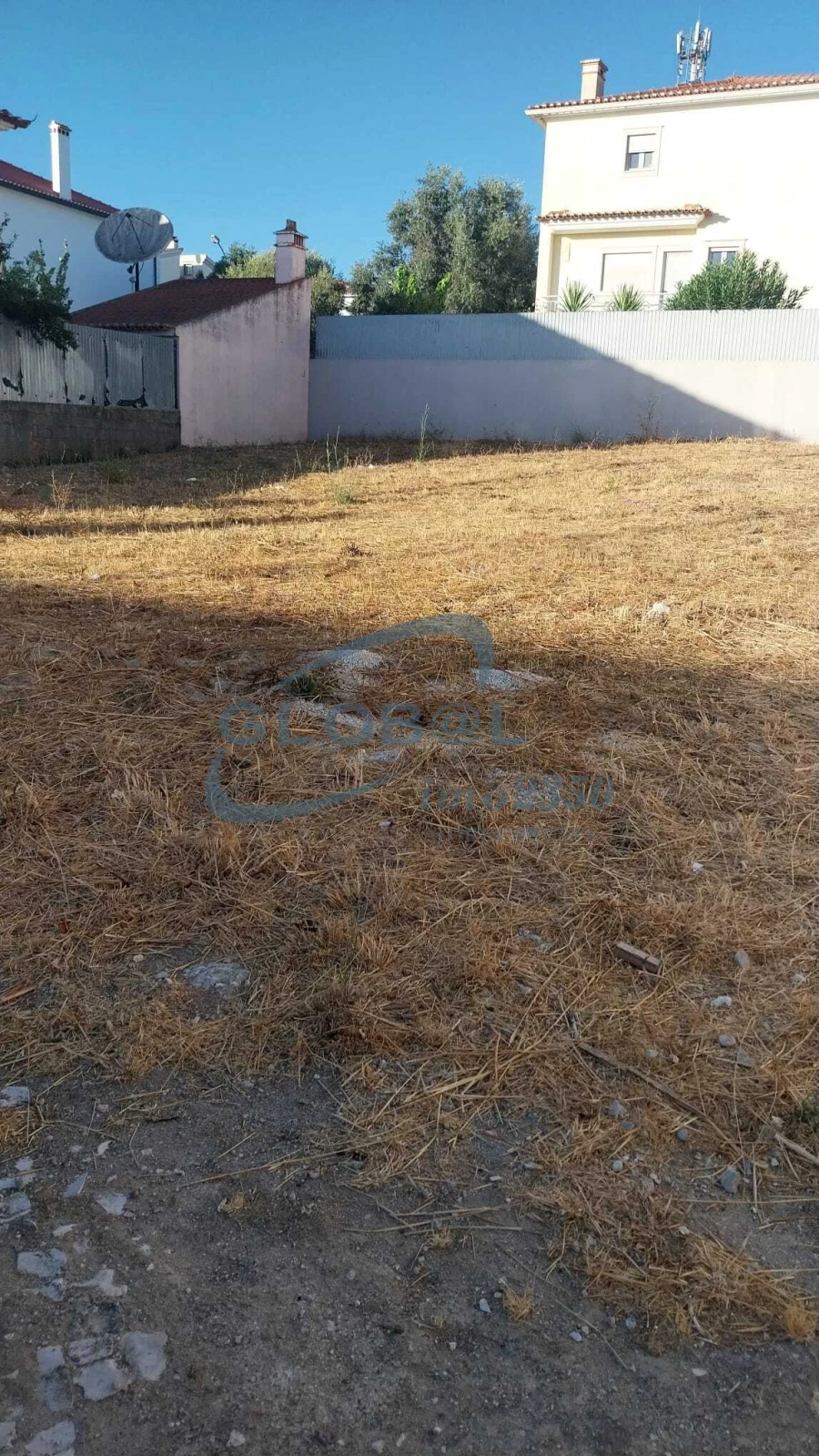 Terreno para Venda em Torres Novas (São Pedro), Lapas e Ribeira Branca Foto 6