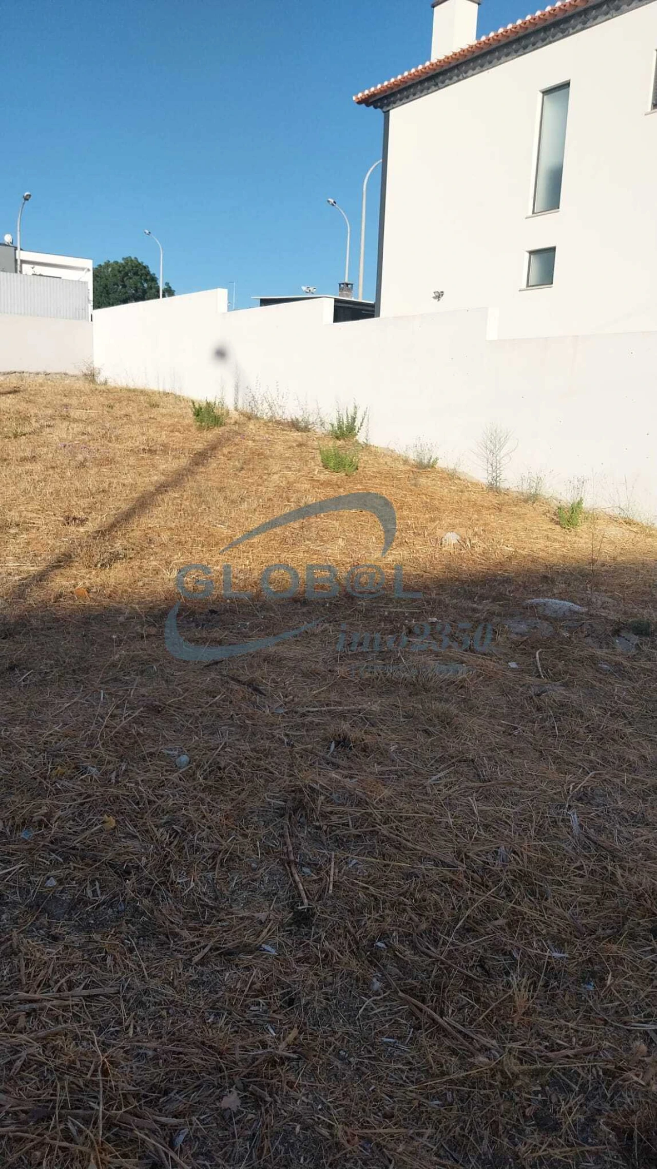 Terreno para Venda em Torres Novas (São Pedro), Lapas e Ribeira Branca Foto 4
