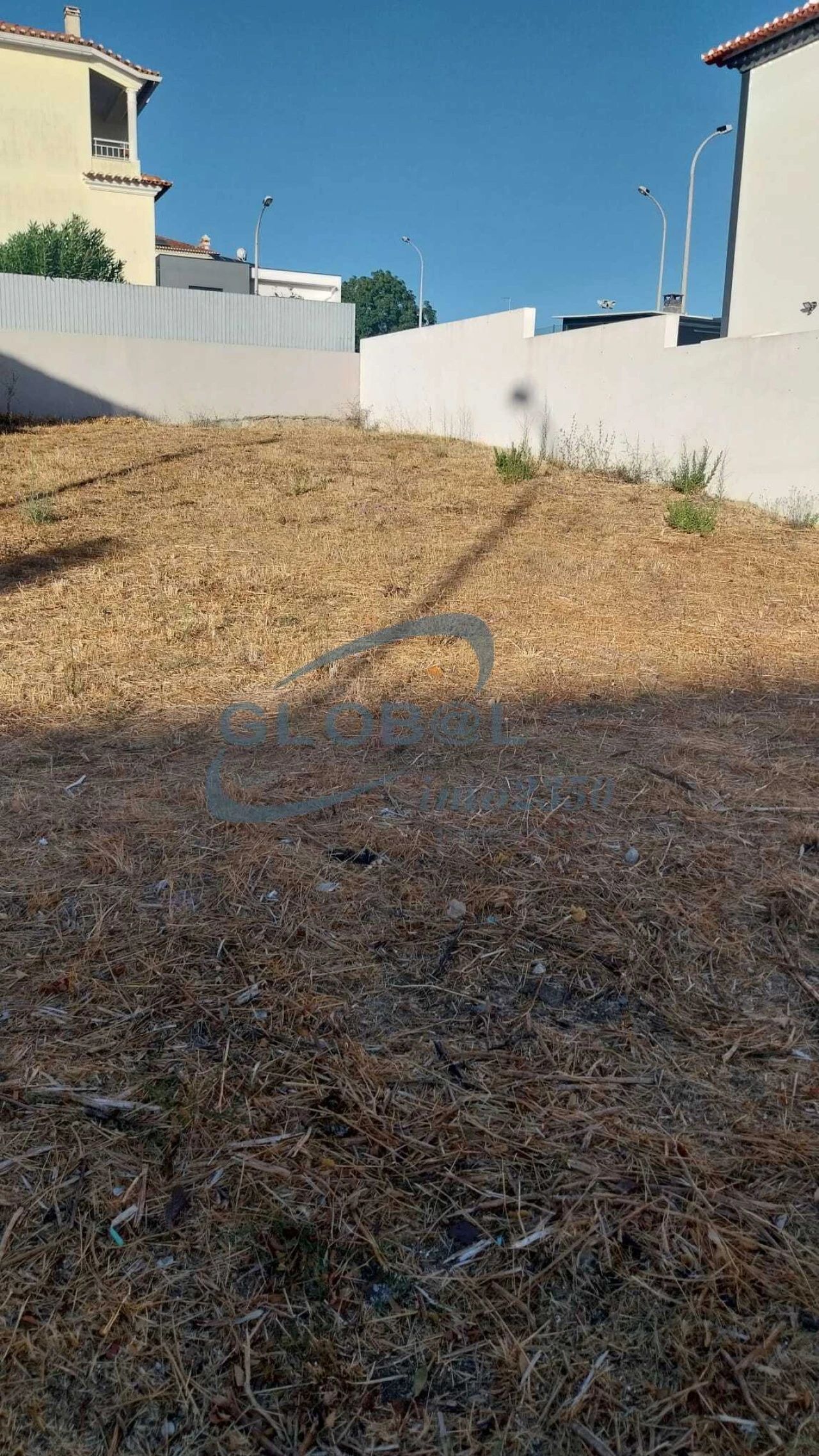 Terreno para Venda em Torres Novas (São Pedro), Lapas e Ribeira Branca Foto 3