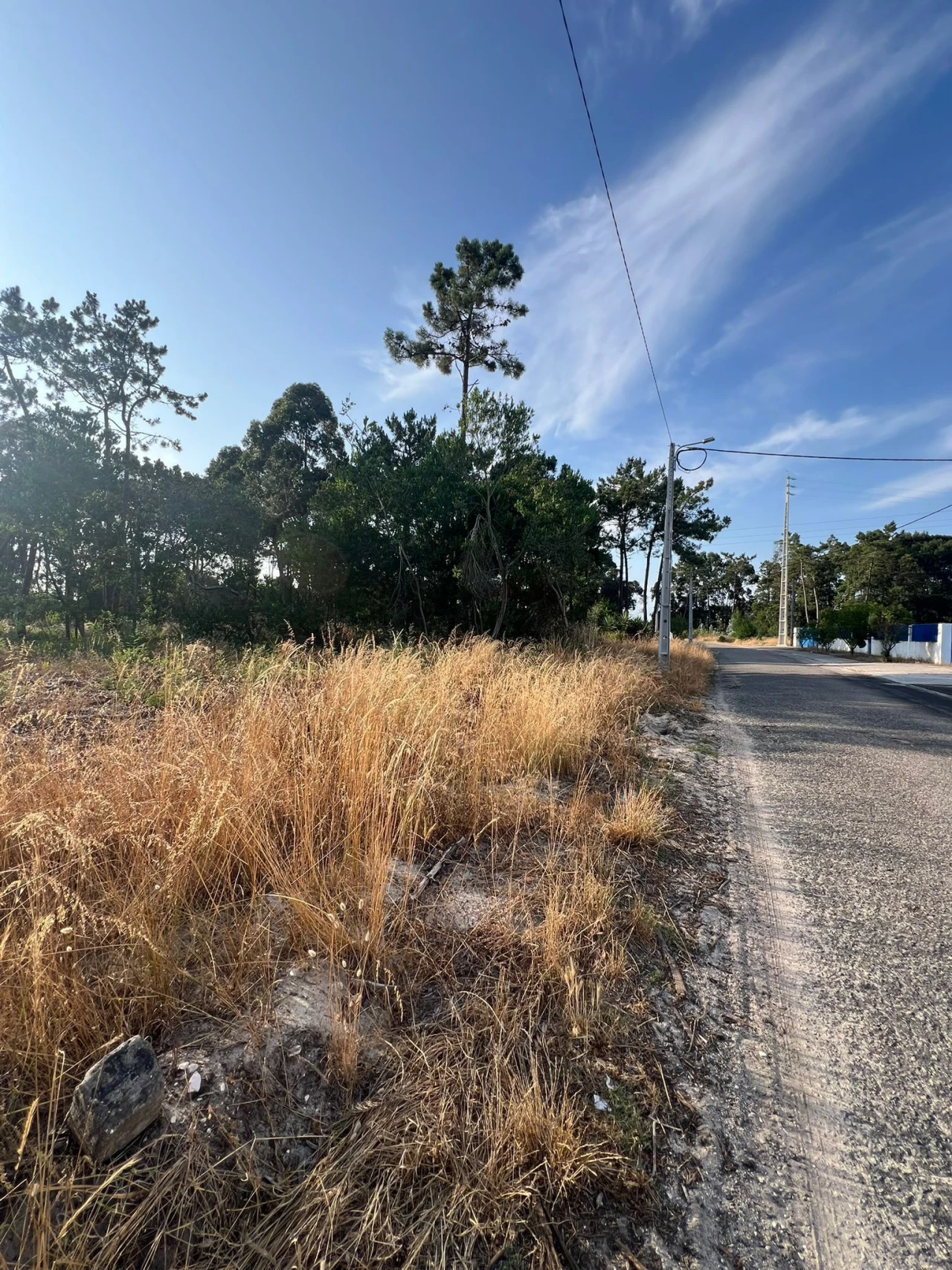 Terreno para Venda em Gafanha da Encarnação Foto 8